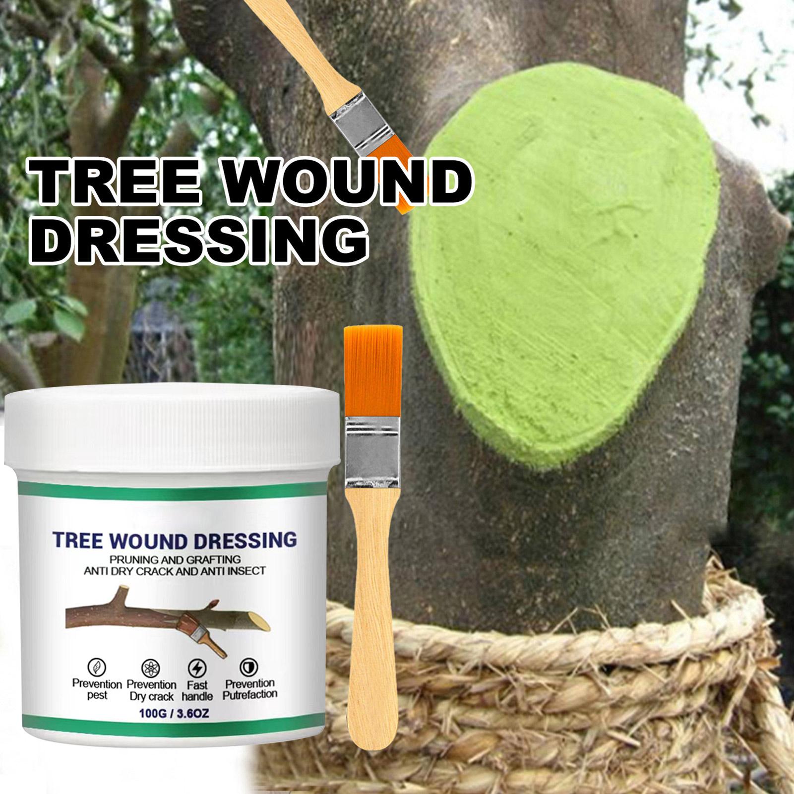Bonsai Garden Usa - 100g Scellant pour blessures d'arbres, scellant