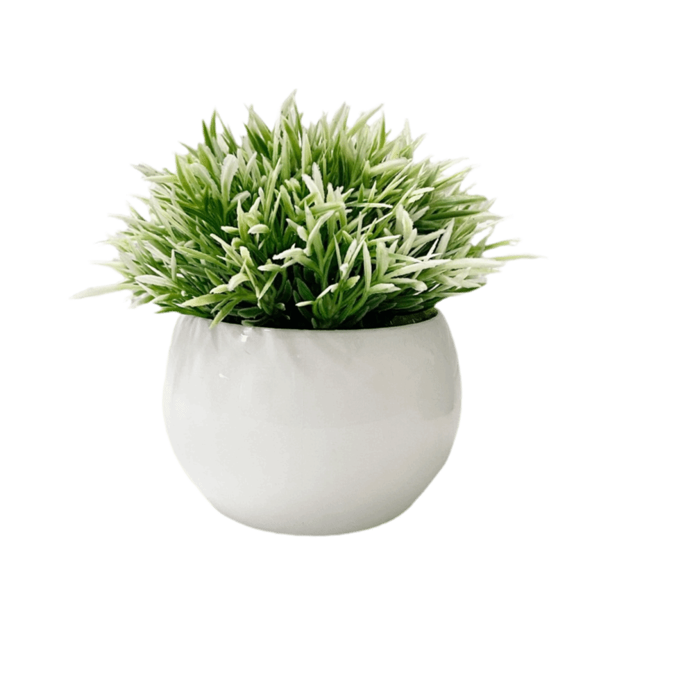 Avec Pot plantes artificielles - Bonsai Garden Kit avis et prix