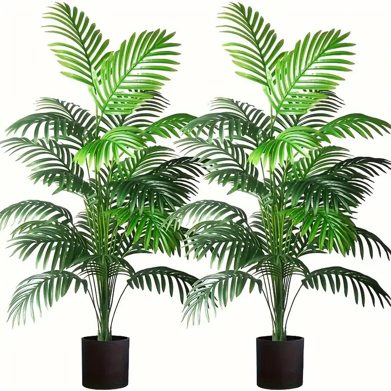 24 feuilles Areca palmier plan - Bonsai Garden Kit avis et prix