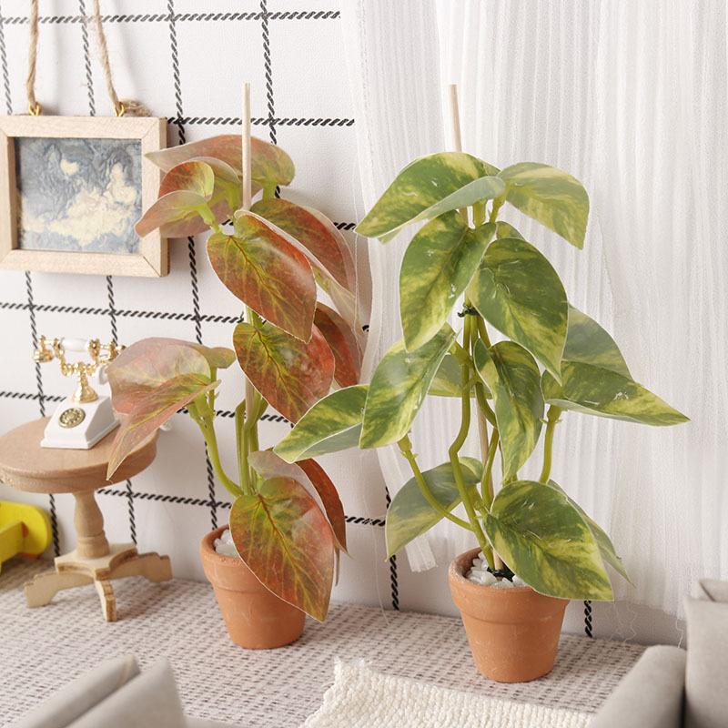 Simulation de plantes vertes p - Bonsai Garden Usa avis et prix