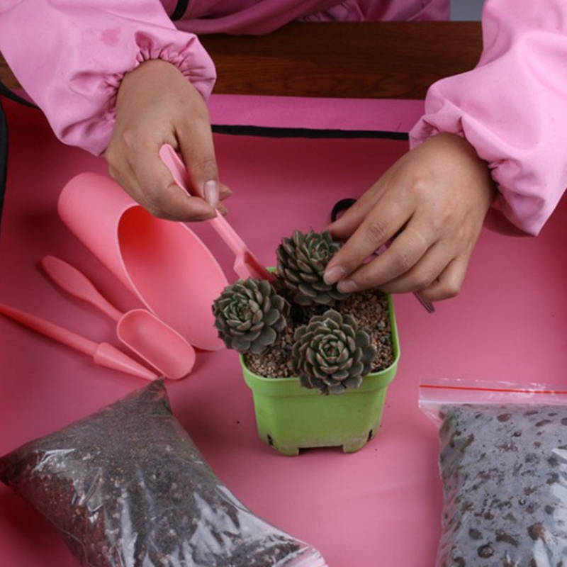 Kit de jardinières de jardin,  - Bonsai Garden Kit avis et prix