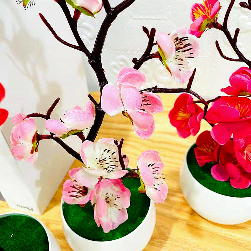 Simulation de Pot de fleur de  - Bonsai Garden Kit avis et prix