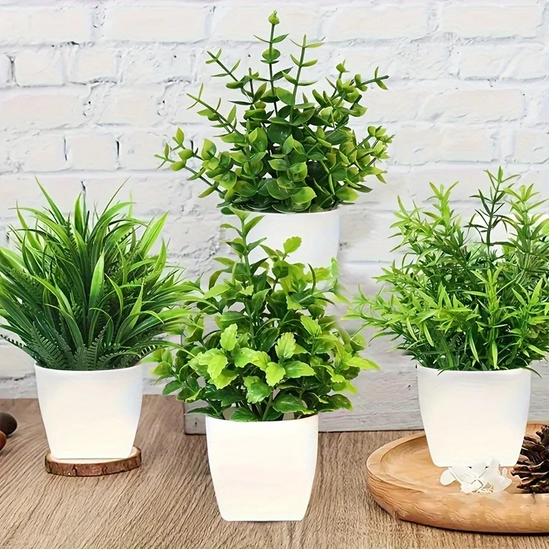 Mini plantes d'eucalyptus arti - Bonsai Garden Kit avis et prix