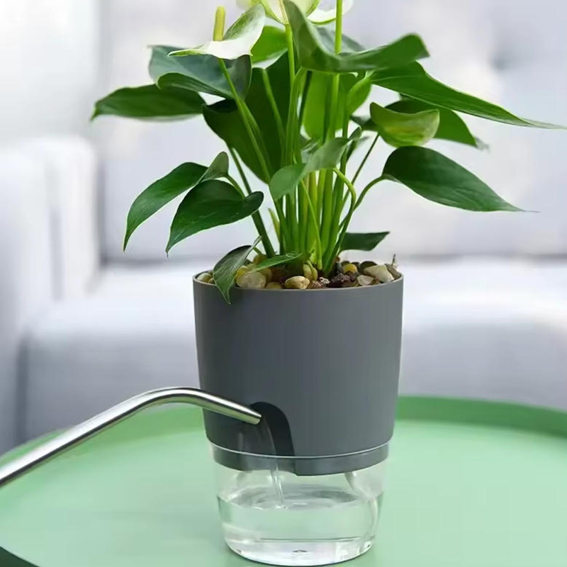 Pots auto-arrosants pour plant - Sphagnum Moss Bag avis et prix