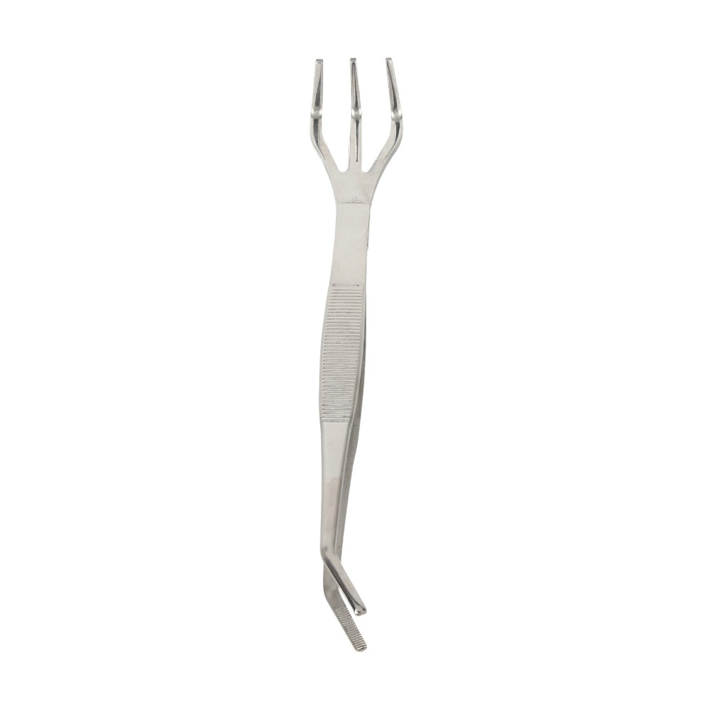 Râteau à bonsaï 2 en 1 durable - Bonsai Garden Tools avis et prix