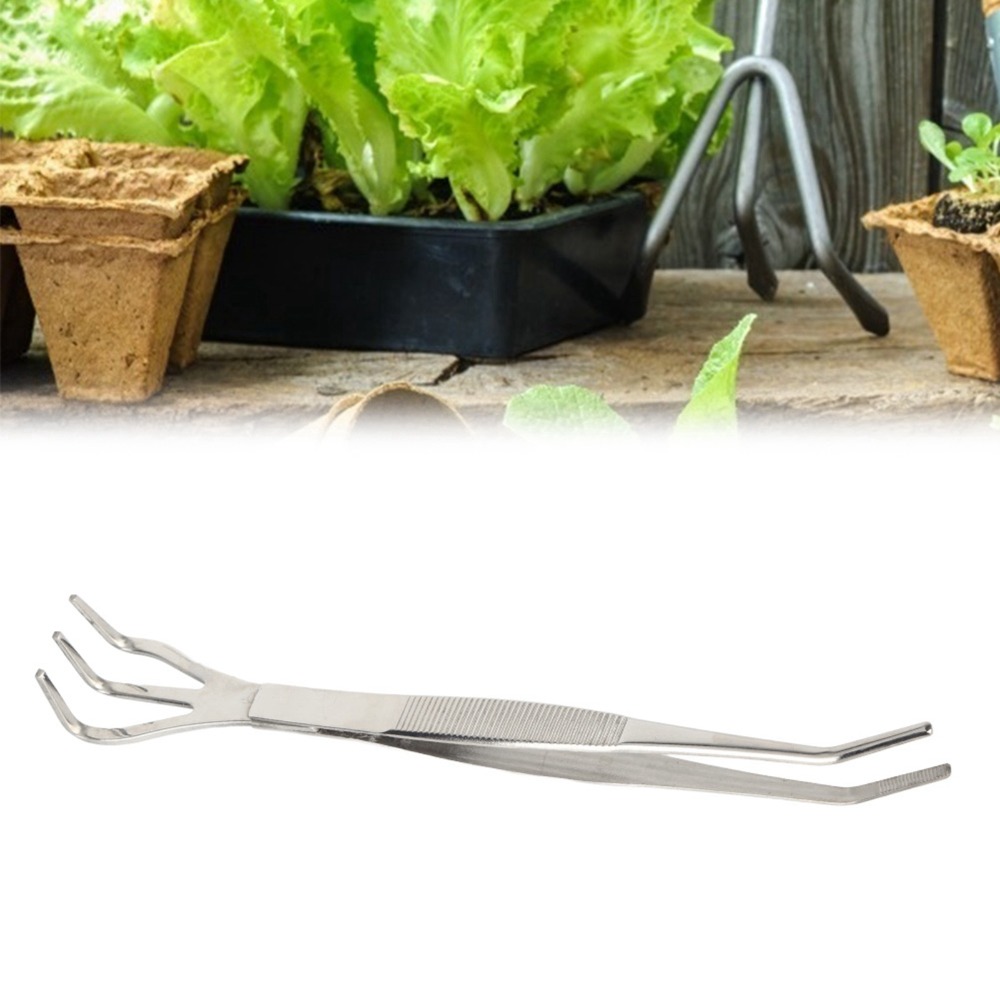 Râteau à bonsaï 2 en 1 durable - Bonsai Garden Tools avis et prix