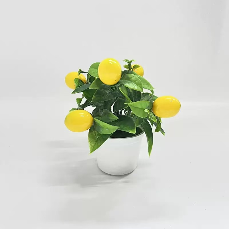 Bonsaï créatif de fruits artif - Bonsai Garden Kit avis et prix