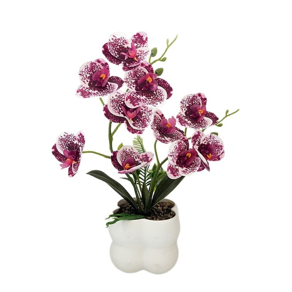 Orchidée Papillon Artificielle - Bonsai Garden Kit avis et prix