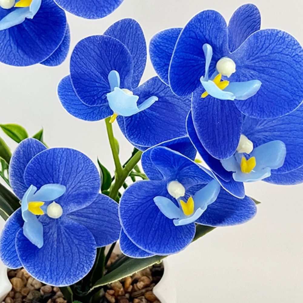 Orchidée Papillon Artificielle - Bonsai Garden Kit avis et prix