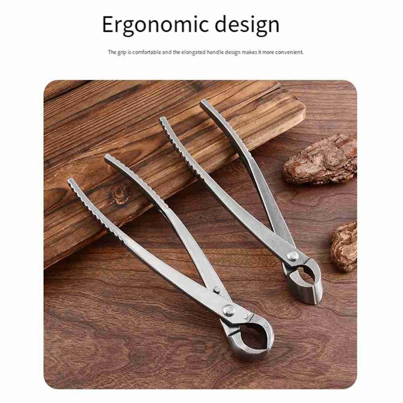 Ensemble d'outils pour arbres  - Root Hook Tool avis et prix