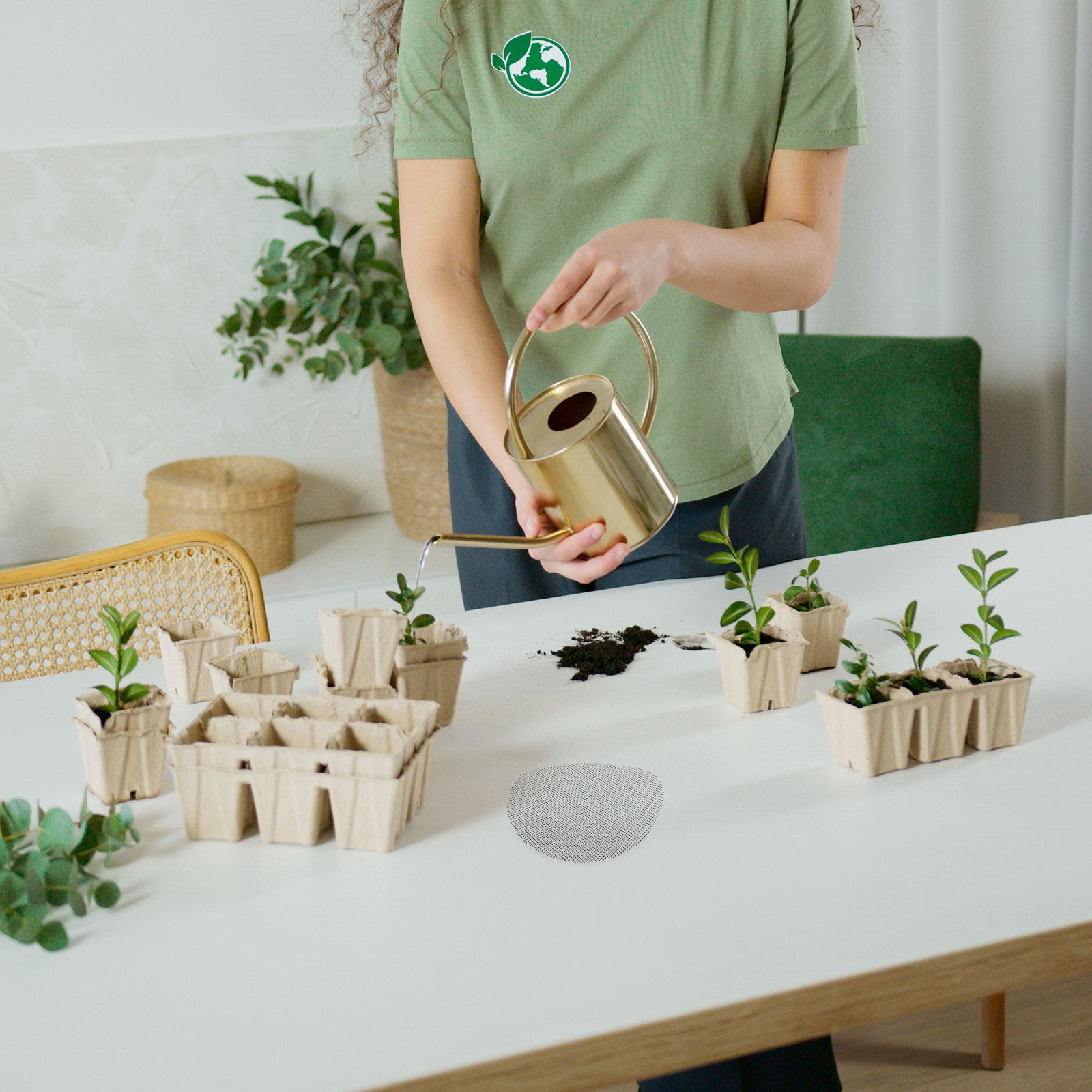 50 pièces de tampons en maille - Bonsai Garden Usa avis et prix