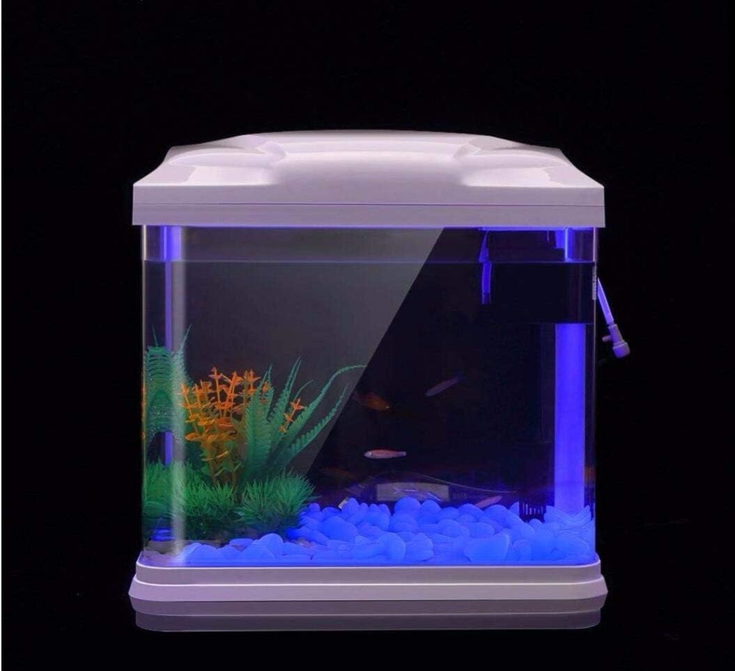 Roches d'aquarium scintillante - Bonsai Garden Kit avis et prix