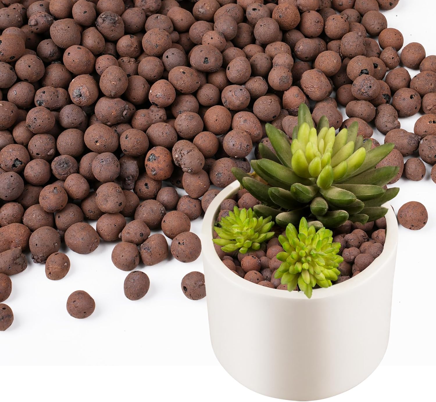 100/200G de billes d'argile po - Sphagnum Moss Bag avis et prix