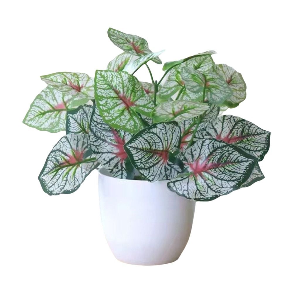 Mini fleurs artificielles en p - Bonsai Garden Kit avis et prix