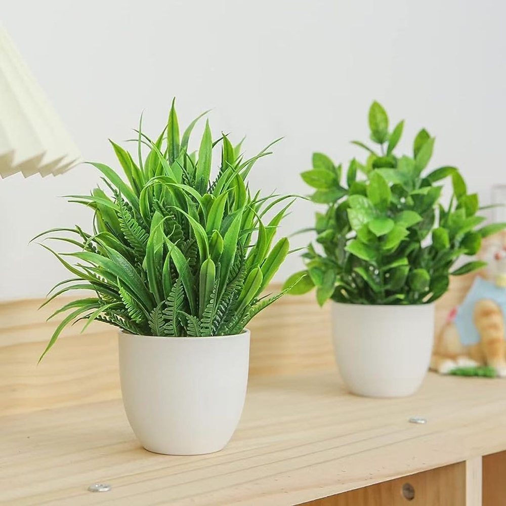 Lot de 4 mini-plantes artifici - Bonsai Garden Kit avis et prix