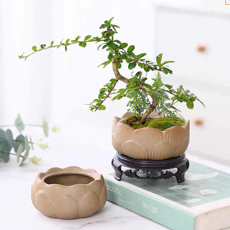 Pot de Plante Verte Annie en P - Bonsai Garden Art avis et prix