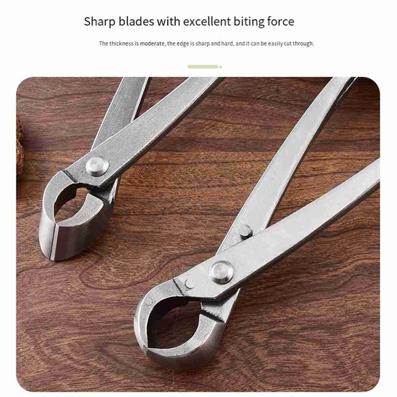 ABGH-Ensemble d'outils pour bo - Root Hook Tool avis et prix