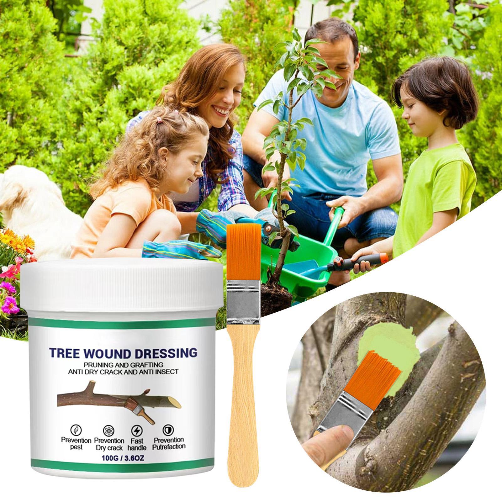 100g Scellant pour blessures d - Bonsai Garden Usa avis et prix