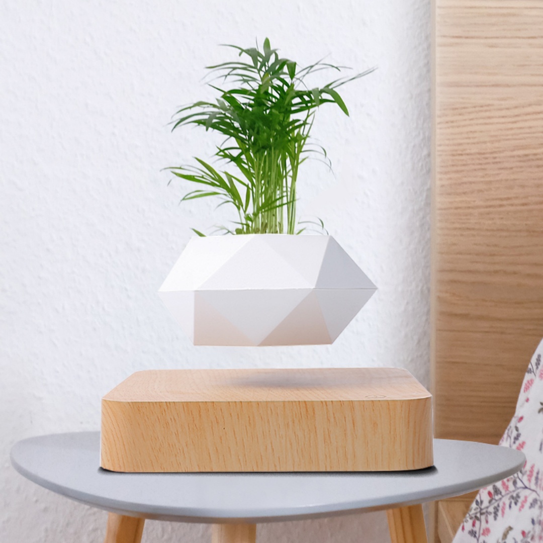 Pot à bonsaï à lévitation, pot - Bonsai Garden For Desk avis et prix