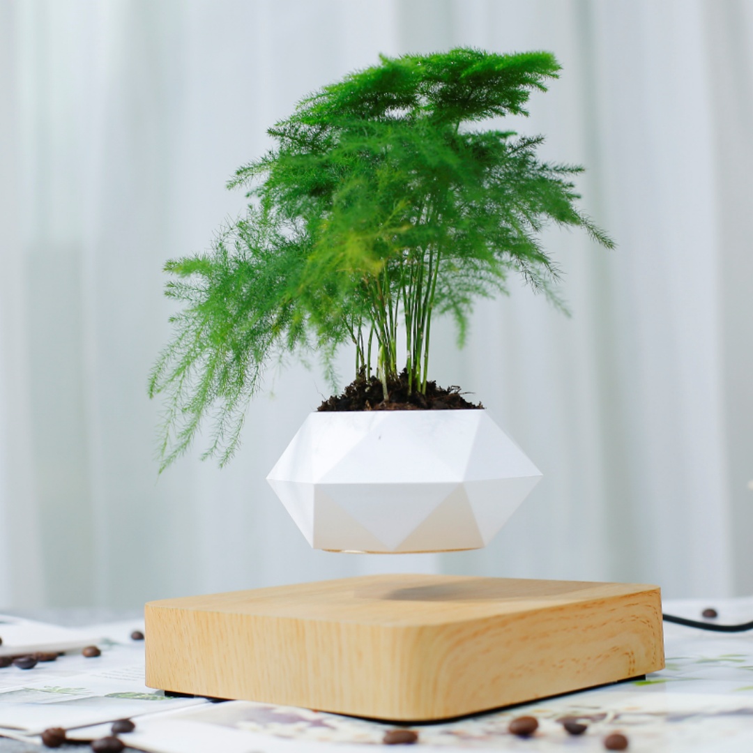 Pot à bonsaï à lévitation, pot - Bonsai Garden For Desk avis et prix