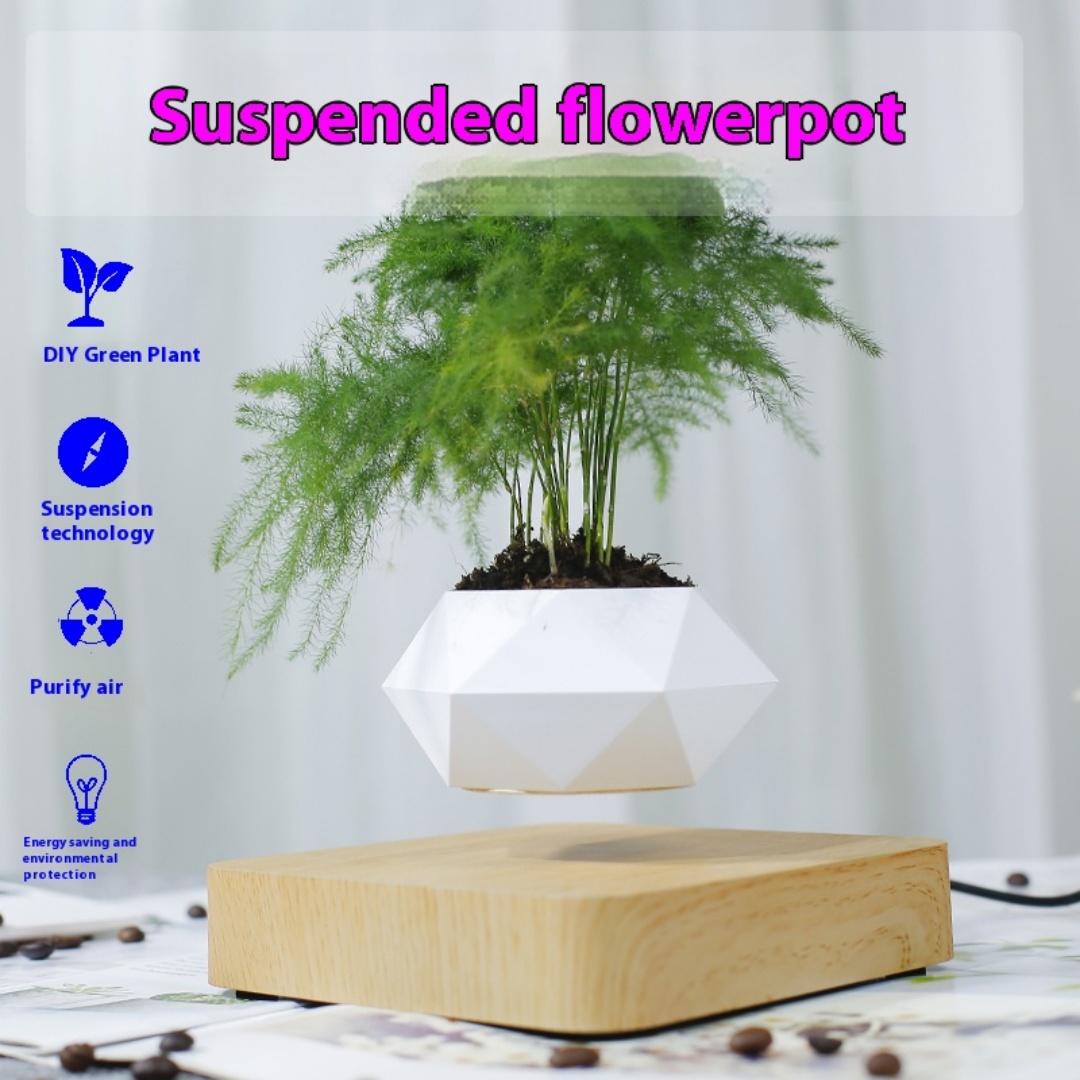 Pot à bonsaï à lévitation, pot - Bonsai Garden For Desk avis et prix