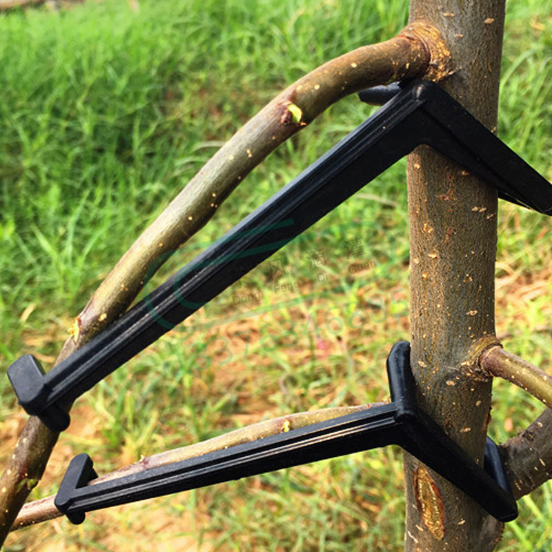 Clips pour arbres fruitiers, S - Bonsai Garden Tools avis et prix