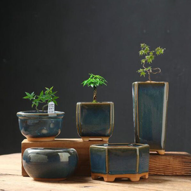 Pot de fleurs en coquille d'œu - Bonsai Garden Art avis et prix