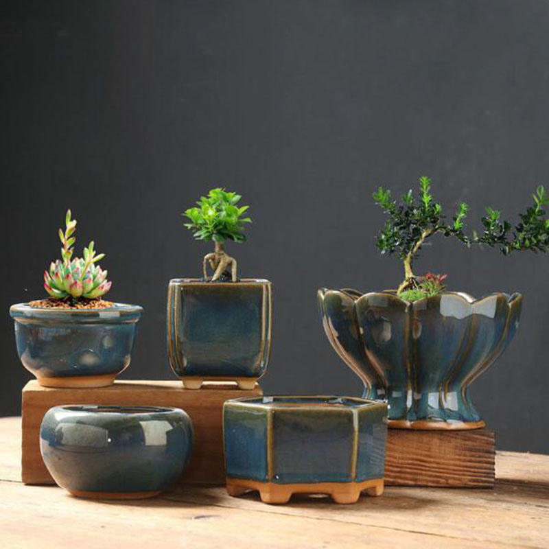 Pot de fleurs en coquille d'œu - Bonsai Garden Art avis et prix