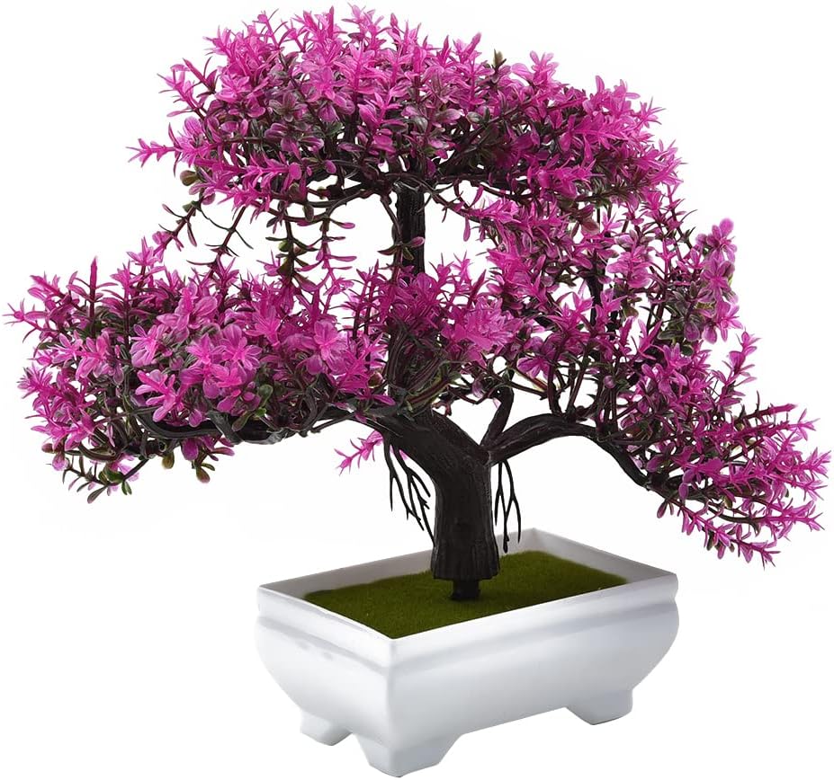 Plantes artificielles bonsaï,  - Bonsai Garden Kit avis et prix