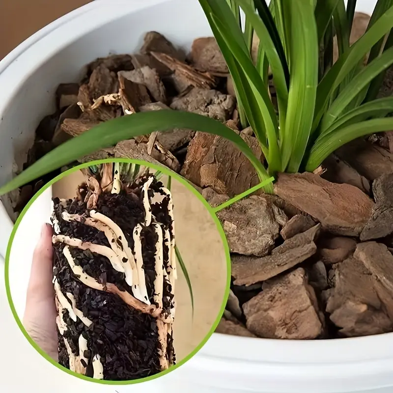 Écorce de pin pour repiquage d - Sphagnum Moss Bag avis et prix