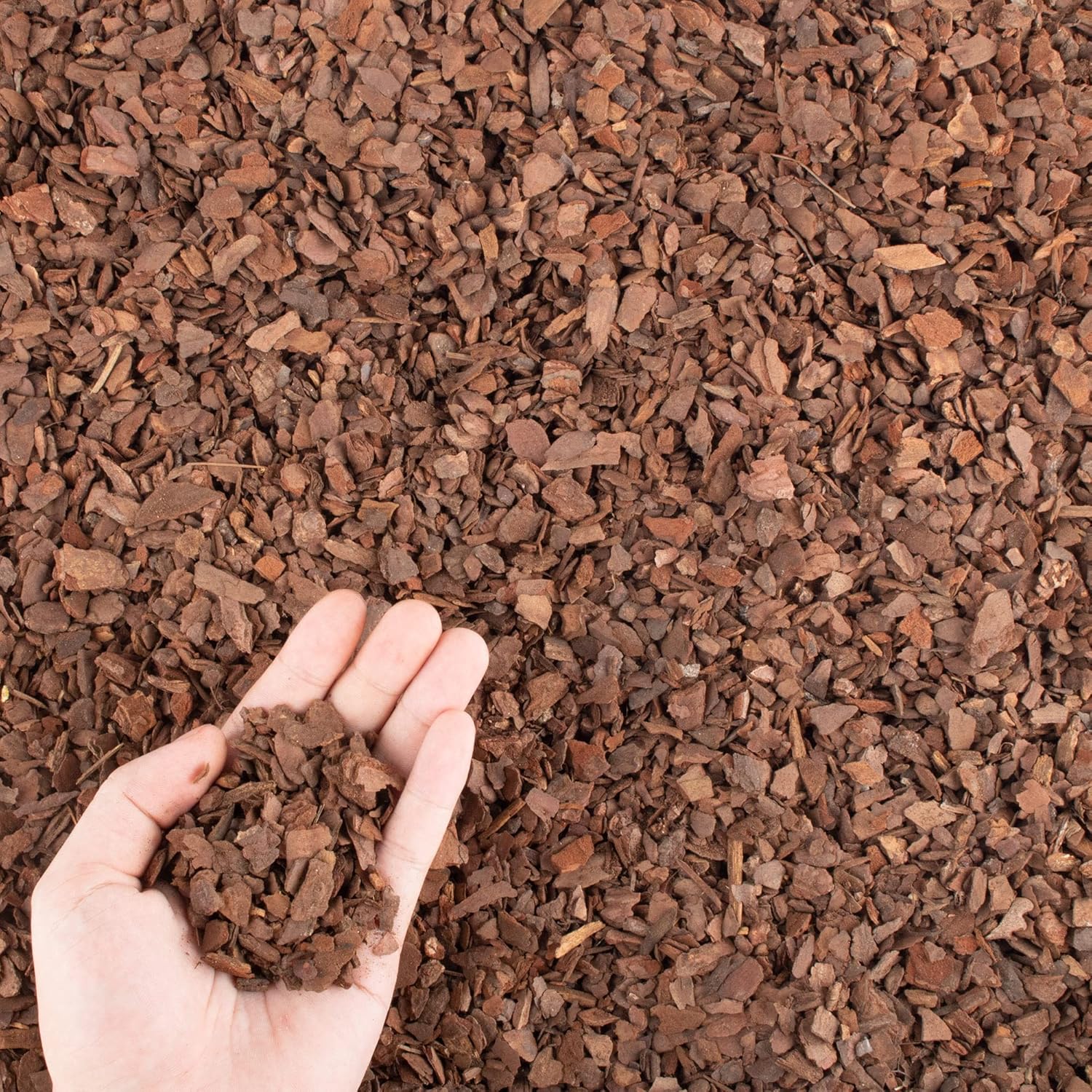 Écorce de pin pour repiquage d - Sphagnum Moss Bag avis et prix